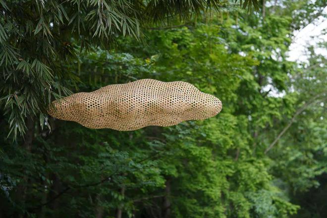 宋亮亮：去百年老村做一个手艺人(图3)