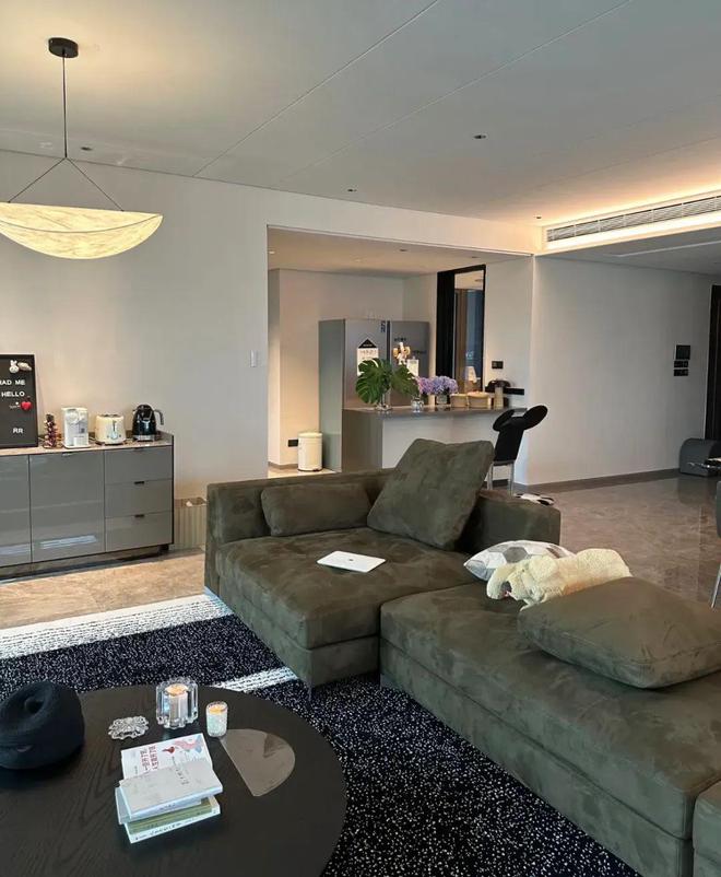 kaiyun：广东一女子卖掉深圳的房一家三口住进佛山233平米的家超大横厅高级感十足！(图4)