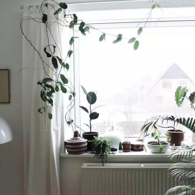 选窗帘不踩坑轻轻松松让家美美的(图17)