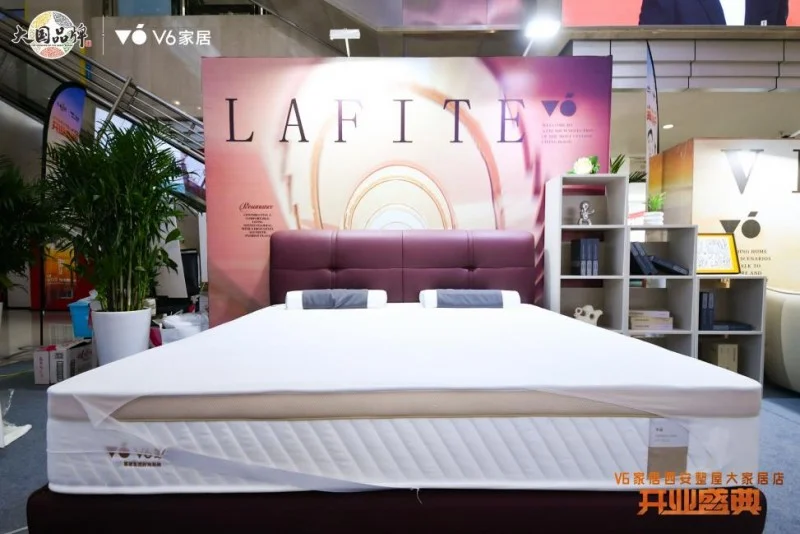 V6家居西安整屋大家居店开业以大师设计引领时尚生活方式(图8)