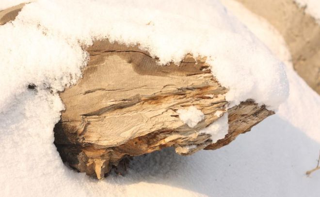 新中式装修东方雅韵无时无刻不被那一抹恬静和淡然所震撼(图8)