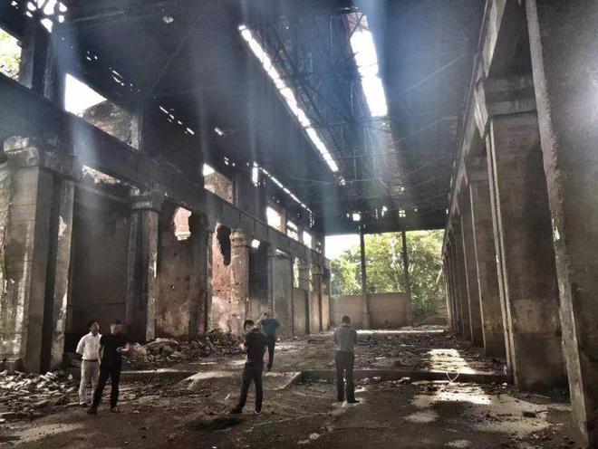 田锦励：城市更新项目中的艺术推广者(图3)