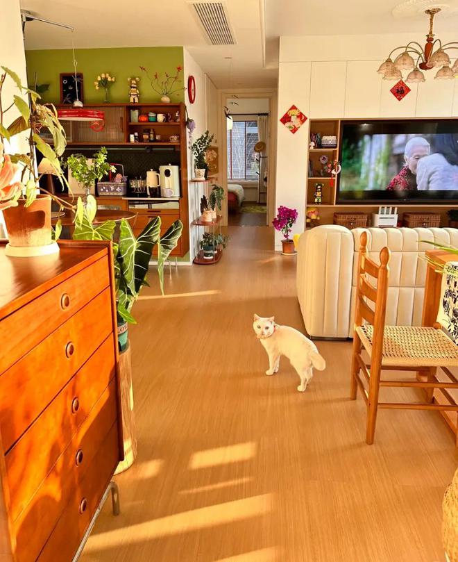 kaiyun：浙江一女子晒两个人住108的家不拆不改将原木风格做到极致太爽啦！(图4)