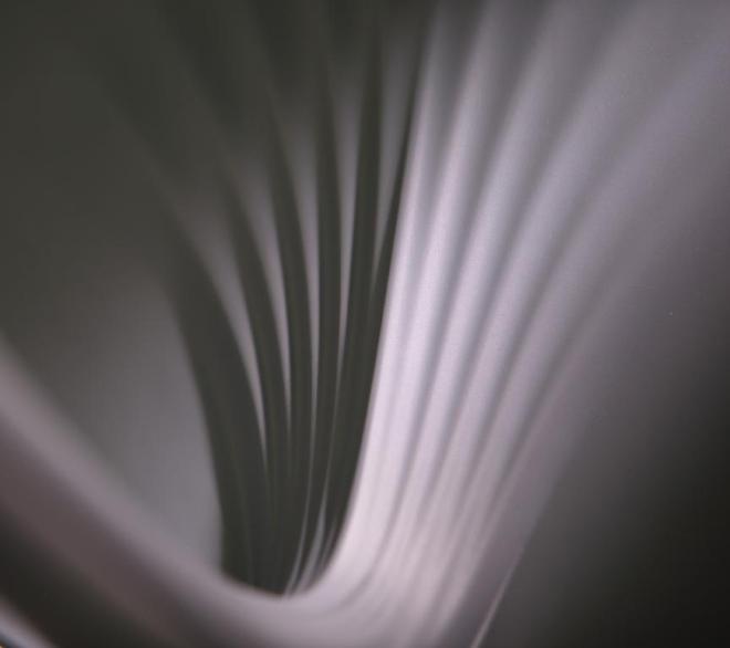 银杏叶椅子在巴黎凡非异彩——设计师汪宸亦作品在巴黎MAISONOBJET荣奖项(图3)