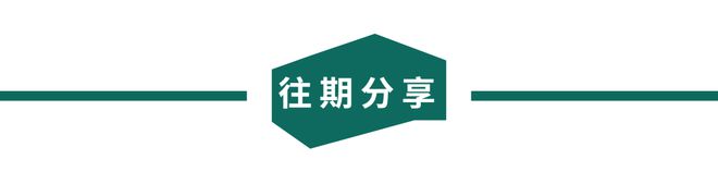 策展彭征×品杭消失的森林(图14)