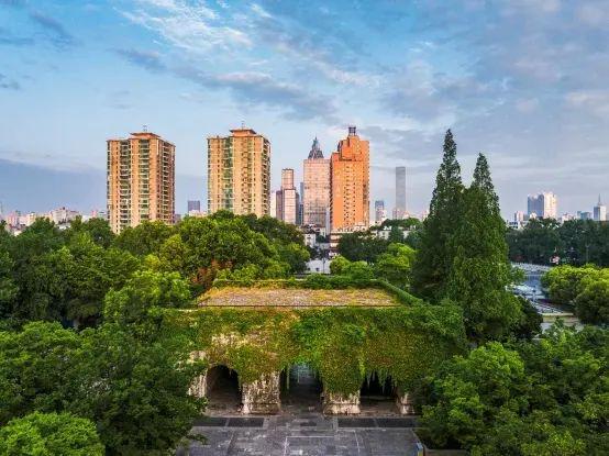 等了十年！南京城中终于等到你(图2)