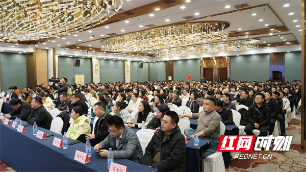 “新”刃出鞘破内卷局——金煌家装2025年度整装新品全国首发(图4)