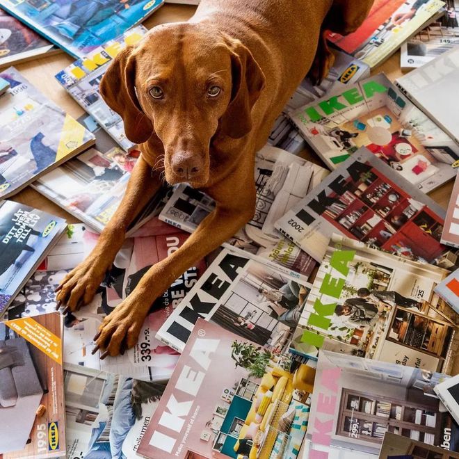 kaiyun网站：做家具出身的IKEA谁能想到杂志也做了70年。(图8)