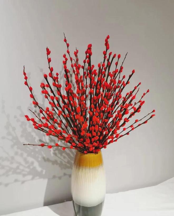 简单小软装点亮新年味儿！(图5)