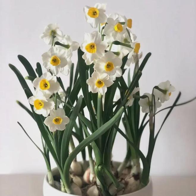 简单小软装点亮新年味儿！(图6)