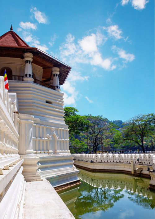 爱漫时软装美学全球行斯里兰卡丨探寻锡兰秘境重构家居艺术(图4)