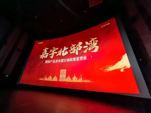 嘉宇·北部湾惊艳出圈！长沙首个装库团装拎包入住项目落地(图2)