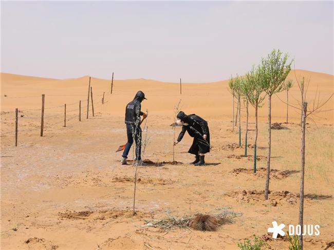 kaiyun网站：DOJUS度假式家私：重构家居消费场景定义“回家就度假”的美学革命(图3)