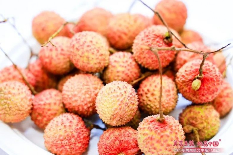 莞荔再进京拓市场凭实“荔”亮相央视网(图2)