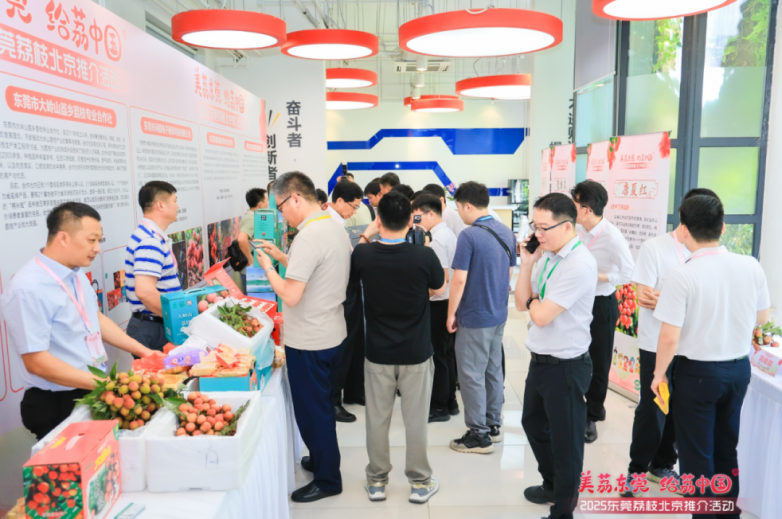 莞荔再进京拓市场凭实“荔”亮相央视网(图11)