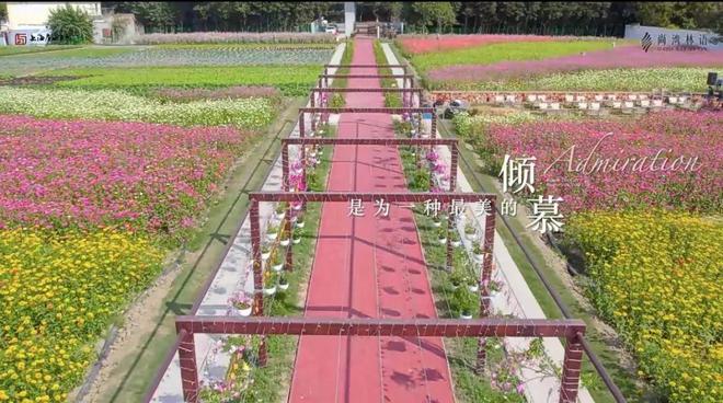 kaiyun：尚湾林语售楼处｜尚湾林语优缺点：更具价值和潜力的宜居之地！(图33)