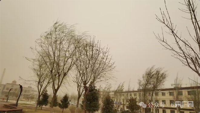 kaiyun网站：非必要不出门！大风吹进天津了吗？天津地铁部分线路及车站临时停运！(图41)