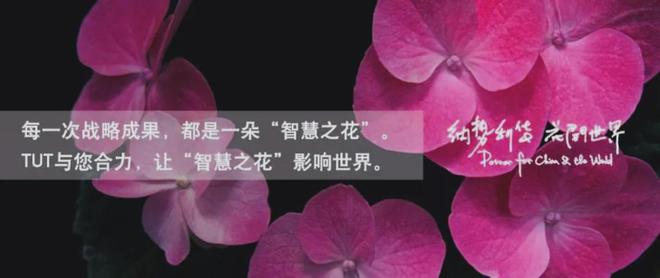 从小镇走向世界宜家（IKEA）的全球化历程、品牌战略与启示(图7)