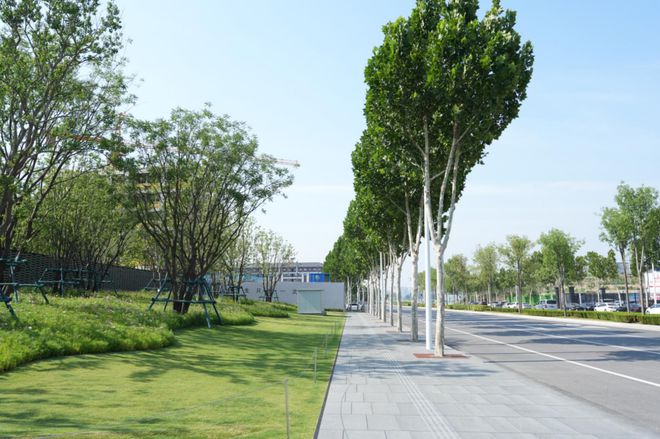 这个项目封神没有人会不服(图30)