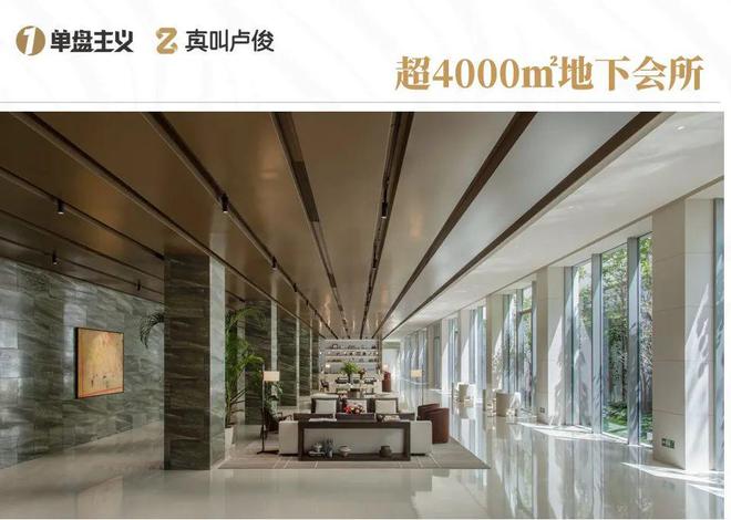 这个项目封神没有人会不服(图23)