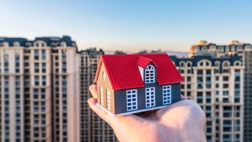 kaiyun网站：小黄房产怎么做推广