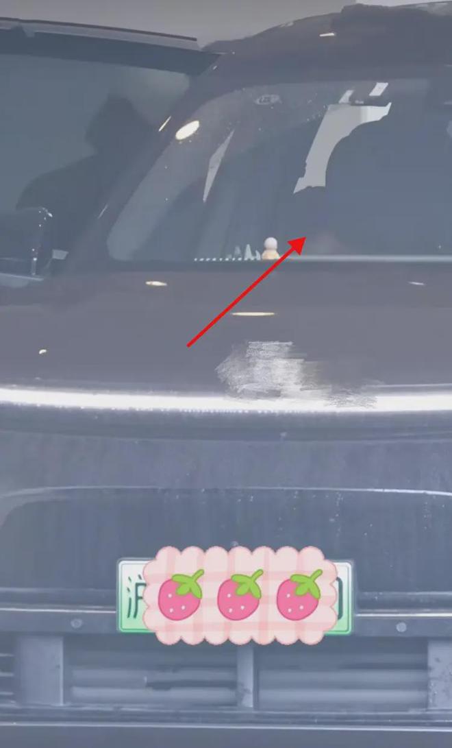 赵丽颖带儿子返回上海母子同框幸福满溢赵丽颖粉色短发超抢镜(图2)