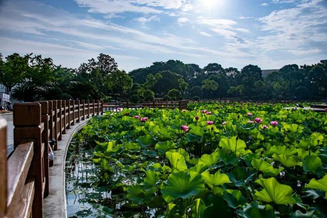 百度热搜：森兰海天名筑售楼处网站(2025)最新资讯＋户型位置(图35)