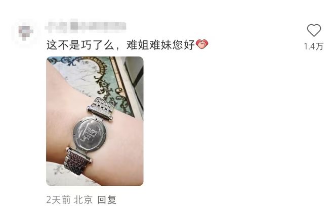 热搜花了上万“浪还在琴没了”！