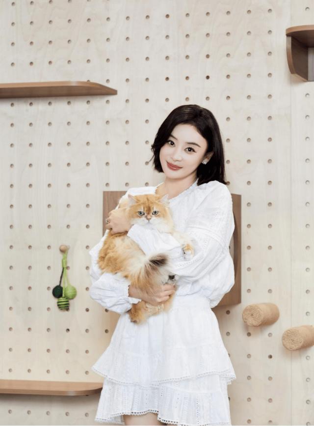 kaiyun：我乐家居20周年战绩斐然锁定轻高定第一品牌(图3)