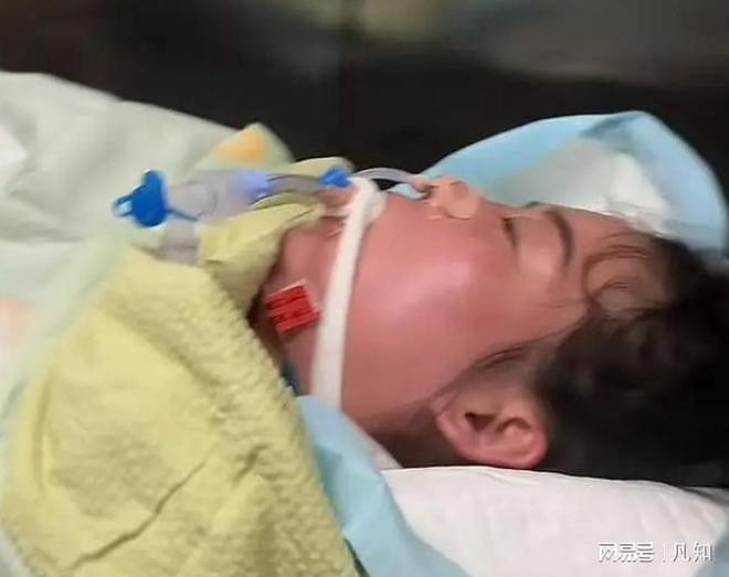 kaiyun网站：34岁河南村花侯丽丽去世！一周前还割麦网红前夫接回家安葬(图4)