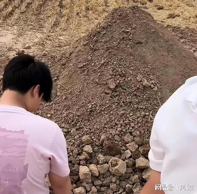 kaiyun网站：34岁河南村花侯丽丽去世！一周前还割麦网红前夫接回家安葬(图2)