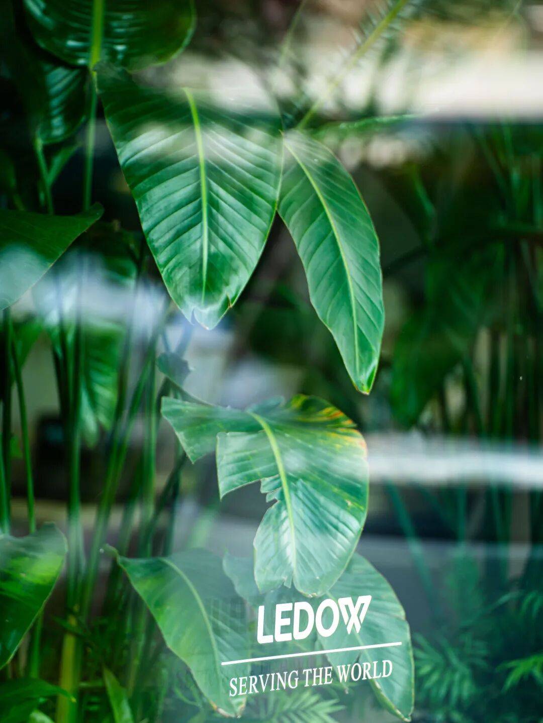 kaiyun网站：思辨｜绿盾门窗上海设计圈：直面时代浪潮深度探索未来设计新维度(图5)