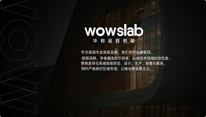 华岩品致岩板2025秋季新品发布会圆满落幕(图8)