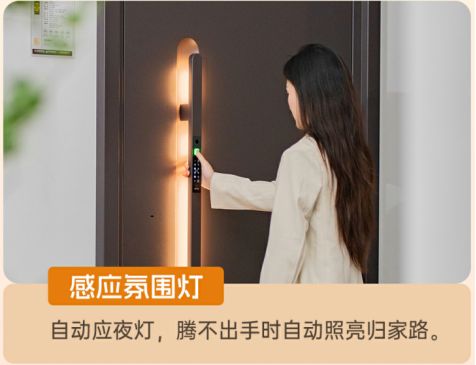 高端装甲门热销品牌德盾：年轻人新家的颜值与安全担当(图2)