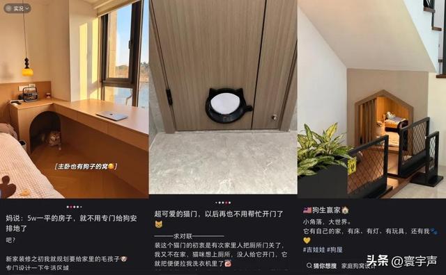 家庭软装为宠物“让路”城市添宠物友好空间溺爱经济渗透生活(图6)