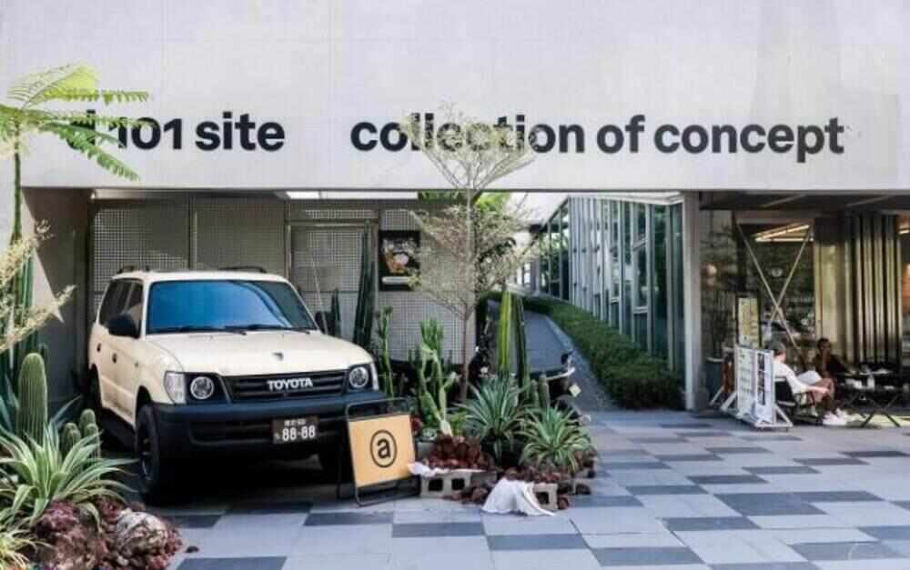 kaiyun网站：艺术设计融入生活场景共创热情点燃2025深