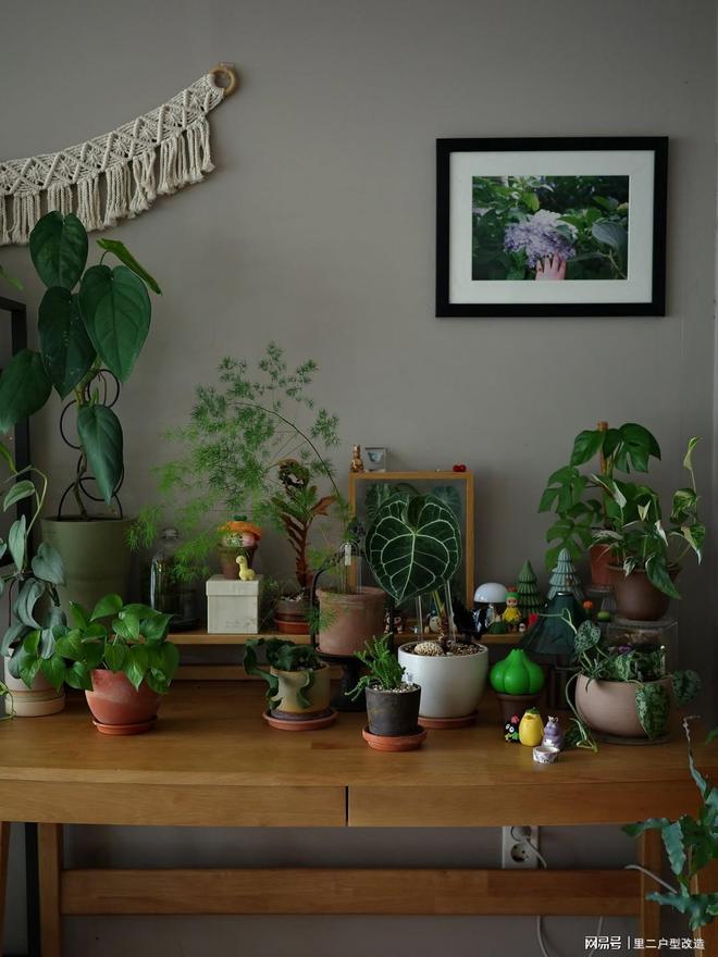 kaiyun：绚烂的402㎡如绽放大呲花凭硬装不基础和软装藏巧思！出圈！(图2)