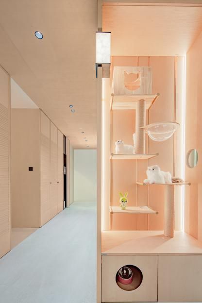 兔宝宝实力参建浙江省“好房子”展从四大维度构筑“未来家”(图3)