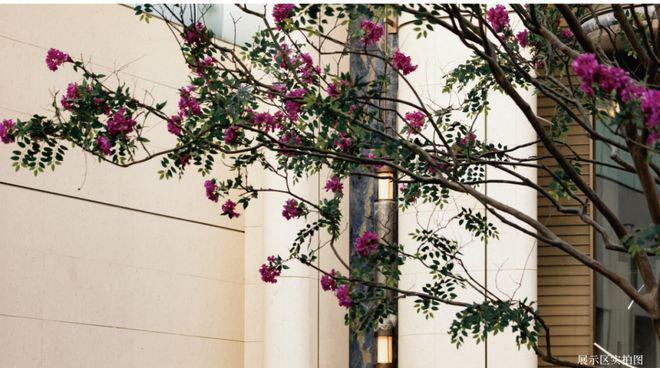 ◈海上·清和玺售楼处发布海上·清和玺：以品质著作好生活！(图6)