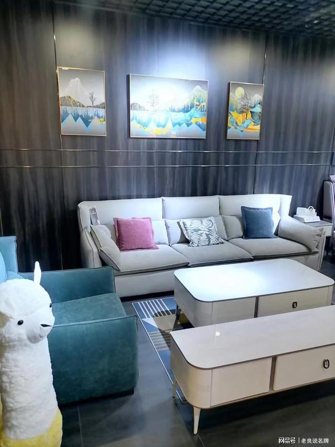 森堡家居专注高端真皮家具最受软装设计师喜爱的十大家具品牌(图3)