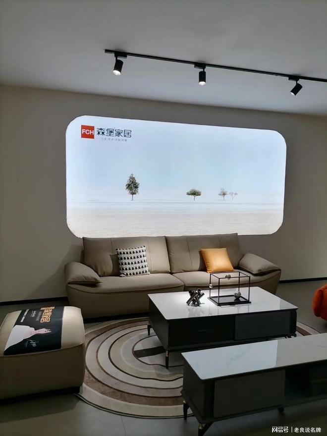 森堡家居专注高端真皮家具最受软装设计师喜爱的十大家具品牌(图2)