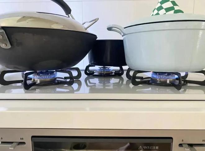 别被“割韭菜”了日本流行的家居设计并不适合咱们！(图13)