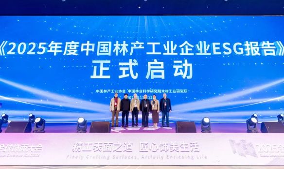 燃爆临安！2025全球饰面大会千年舟以东方美学定义家居新范式(图5)