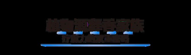 把“第六感”装进家莫干山板材以香为媒解锁家居疗愈新维度(图4)