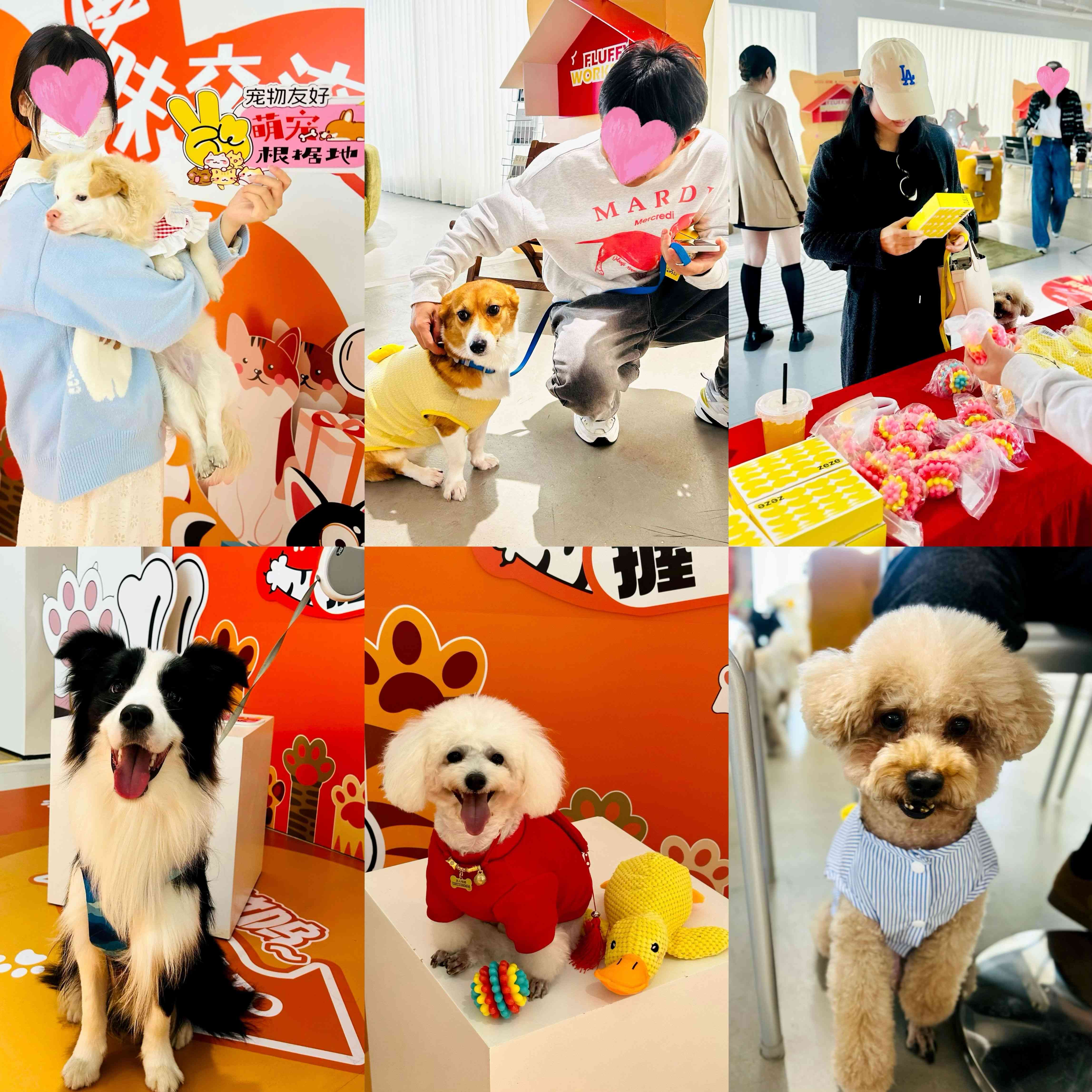 有温度的智慧数字生活万众城家居开启年终家居焕新体验(图3)