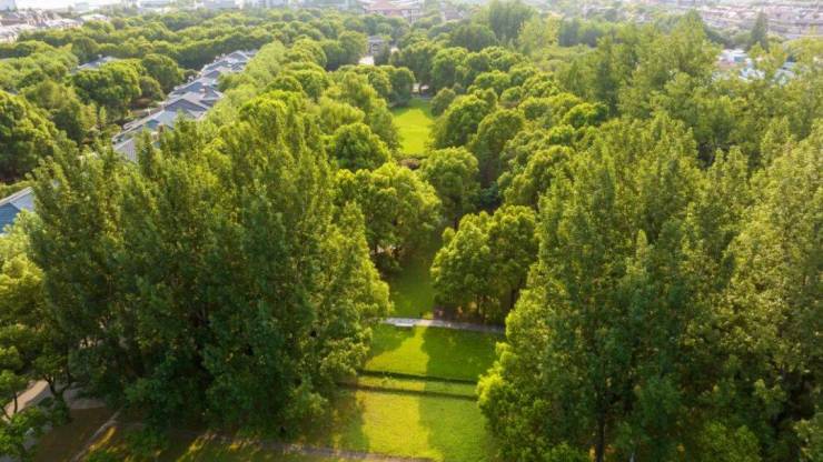 上海浦东绿宝园翡梵售楼处│绿宝园翡梵(营销中心)-2026(售楼处)-楼盘欢迎您-价格户型地址环境配套交房时间电话(图2)