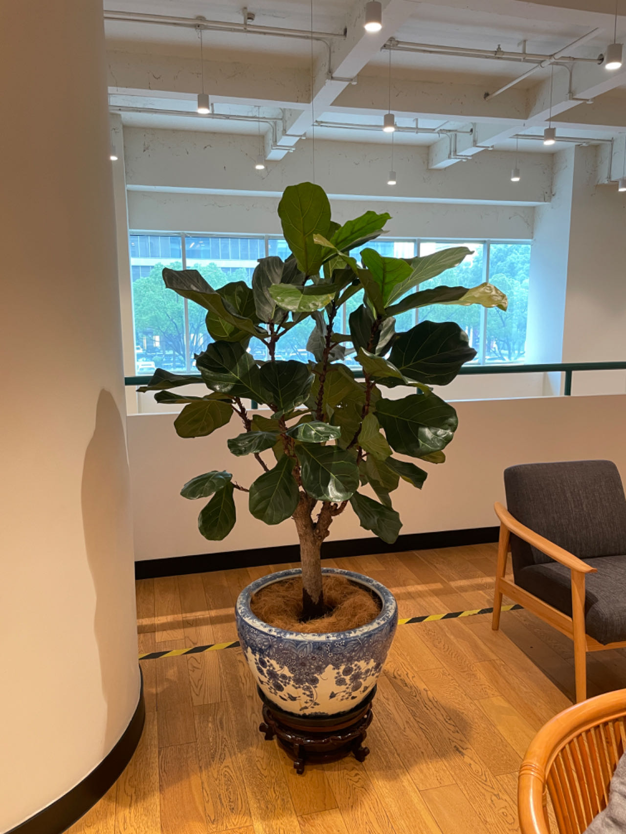 kaiyun入口：2026年上海企业如何选择专业的花卉租赁机