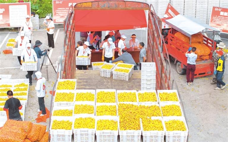 贵州水城：水火相济处拔节生长时(图2)