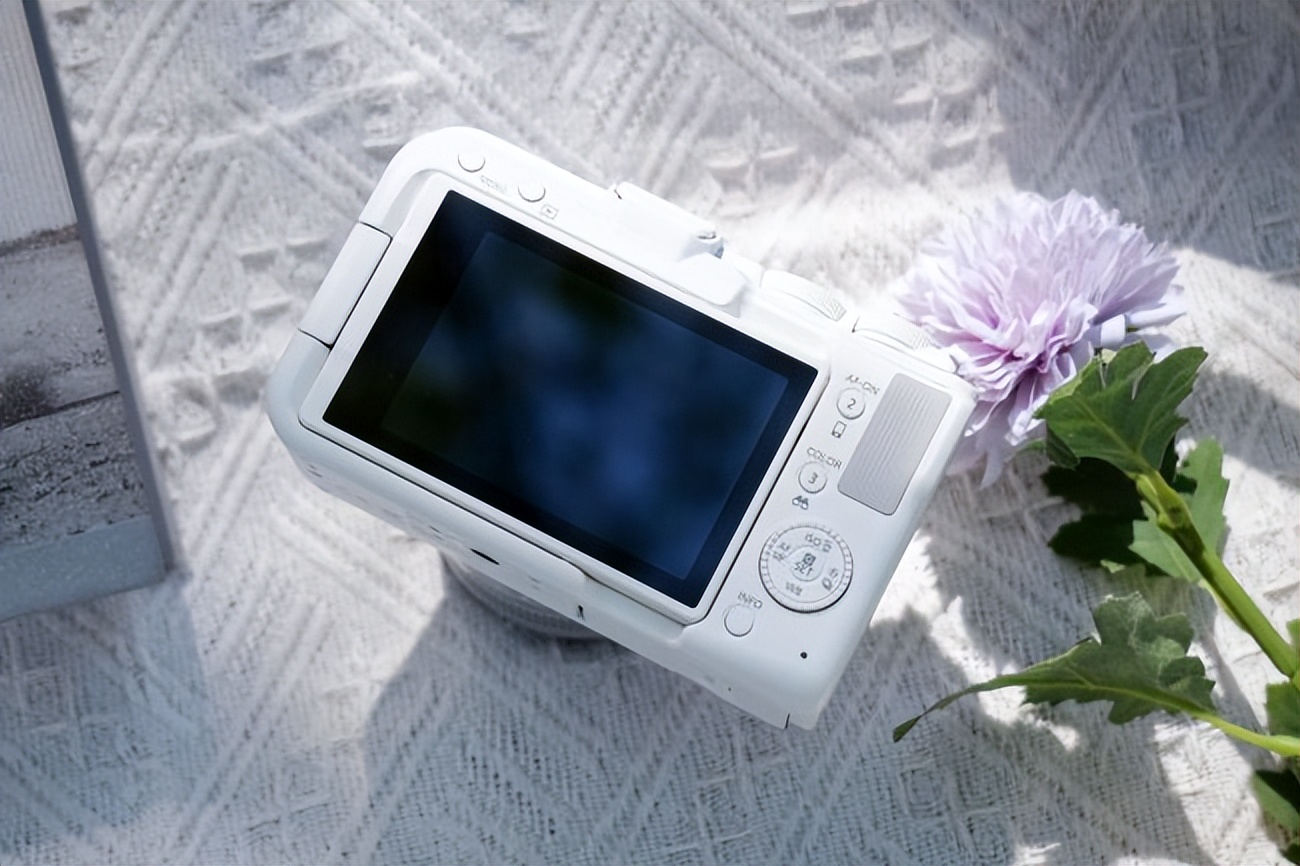 kaiyun：2026年直播相机推荐：佳能R50V用四大优势定义行业新标准(图2)