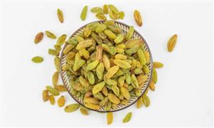 中研网行业资讯_中研普华行业研究网(图20)